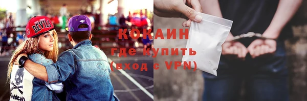 индика Алексеевка