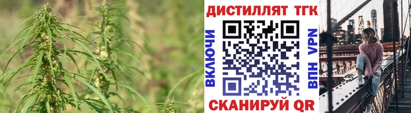 где купить Шумерля блэк спрут как войти Дистиллят ТГК жижа
