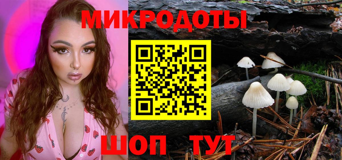 Галлюциногенные грибы Psilocybe Шумерля
