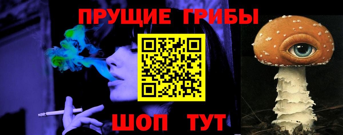 Шумерля  сколько стоит  Вход с VPN  Псилоцибиновые грибы прущие грибы 